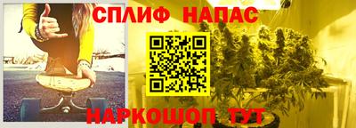 сатива Ирбит