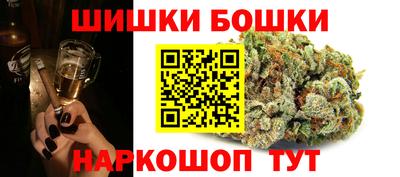 шишки Изобильный