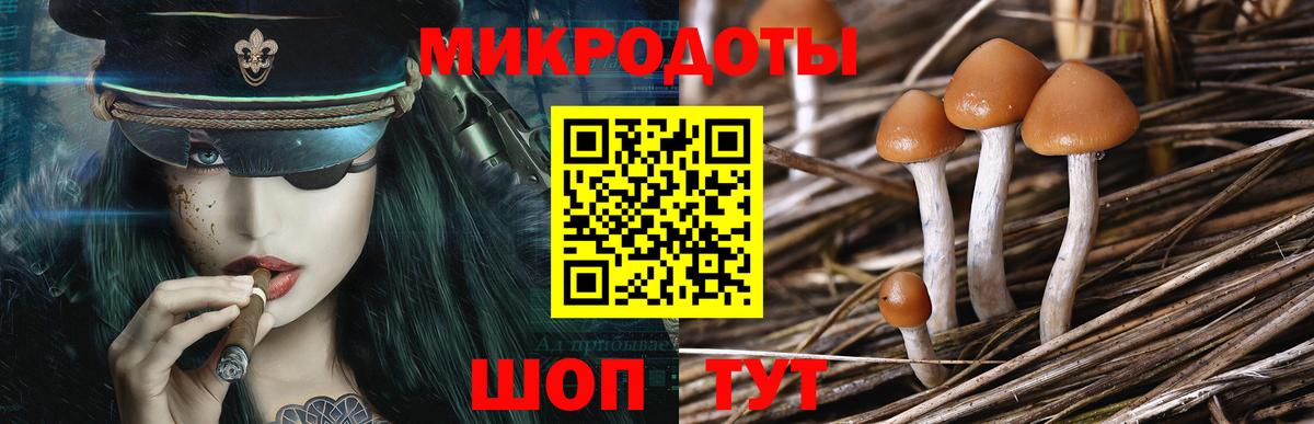 Галлюциногенные грибы Magic Shrooms  Вход с VPN  Кубинка 